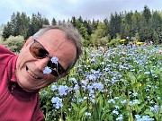 03 'Non ti scordar'... non mi sono scordato di salire ad ammirare i fiori dei prati della Pigolotta !